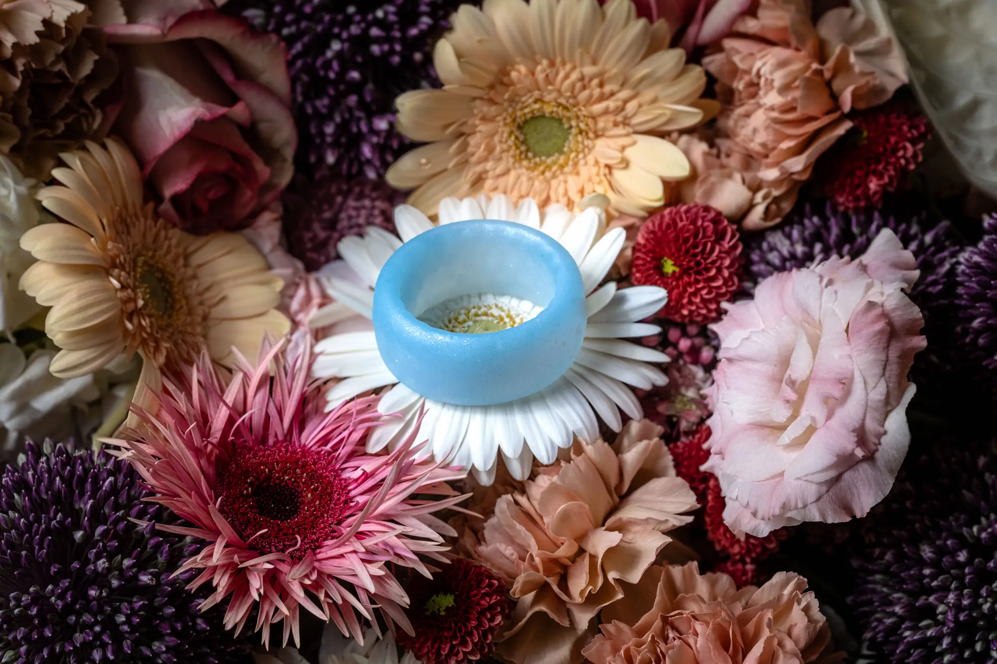 Un anneau Otoko bleu pâle posé dans un bouquet de gerberas et de roses